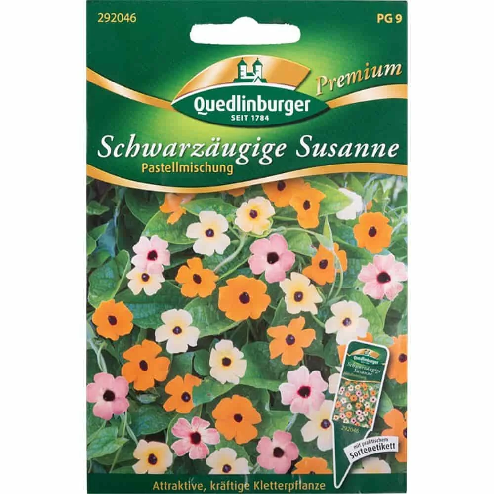Schwarzäugige Susanne Samen, Kletterpflanze Pastell Selektion, einjährige Klette
