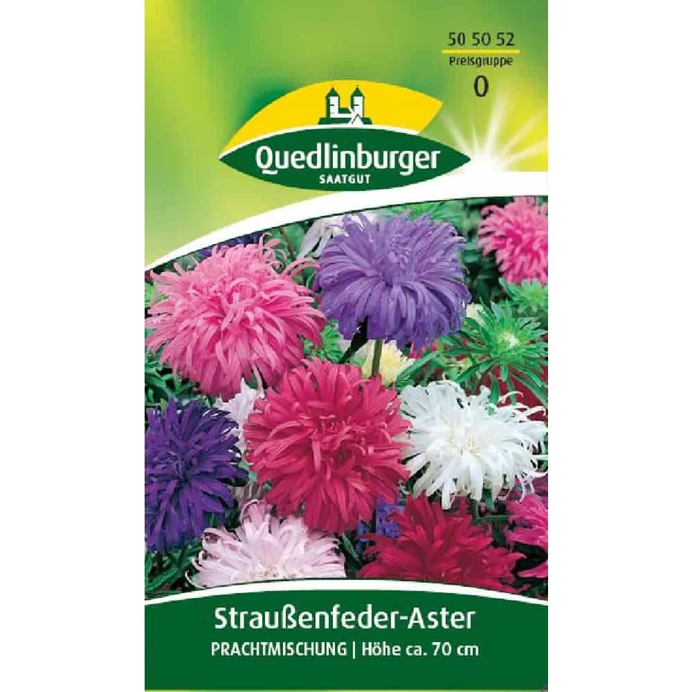 "Aster Samen, Straussenfederaster Mischung, Bienenfreundlich image"