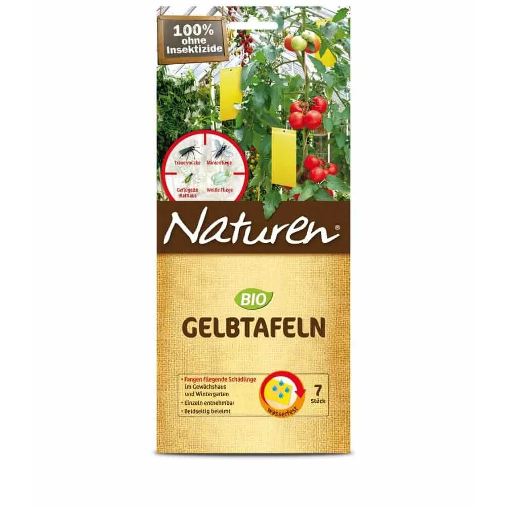 Gelbtafeln gegen Trauermücken