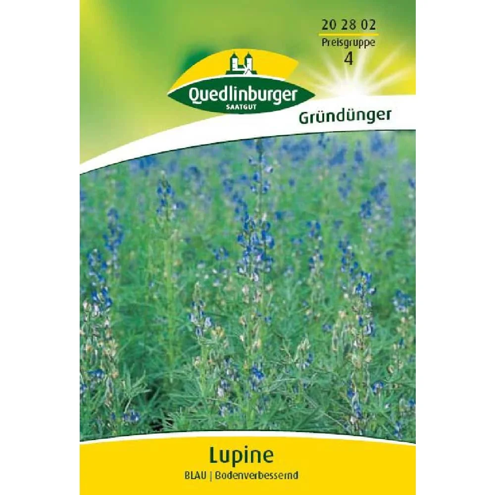 Blaue Lupine als Gründüngung