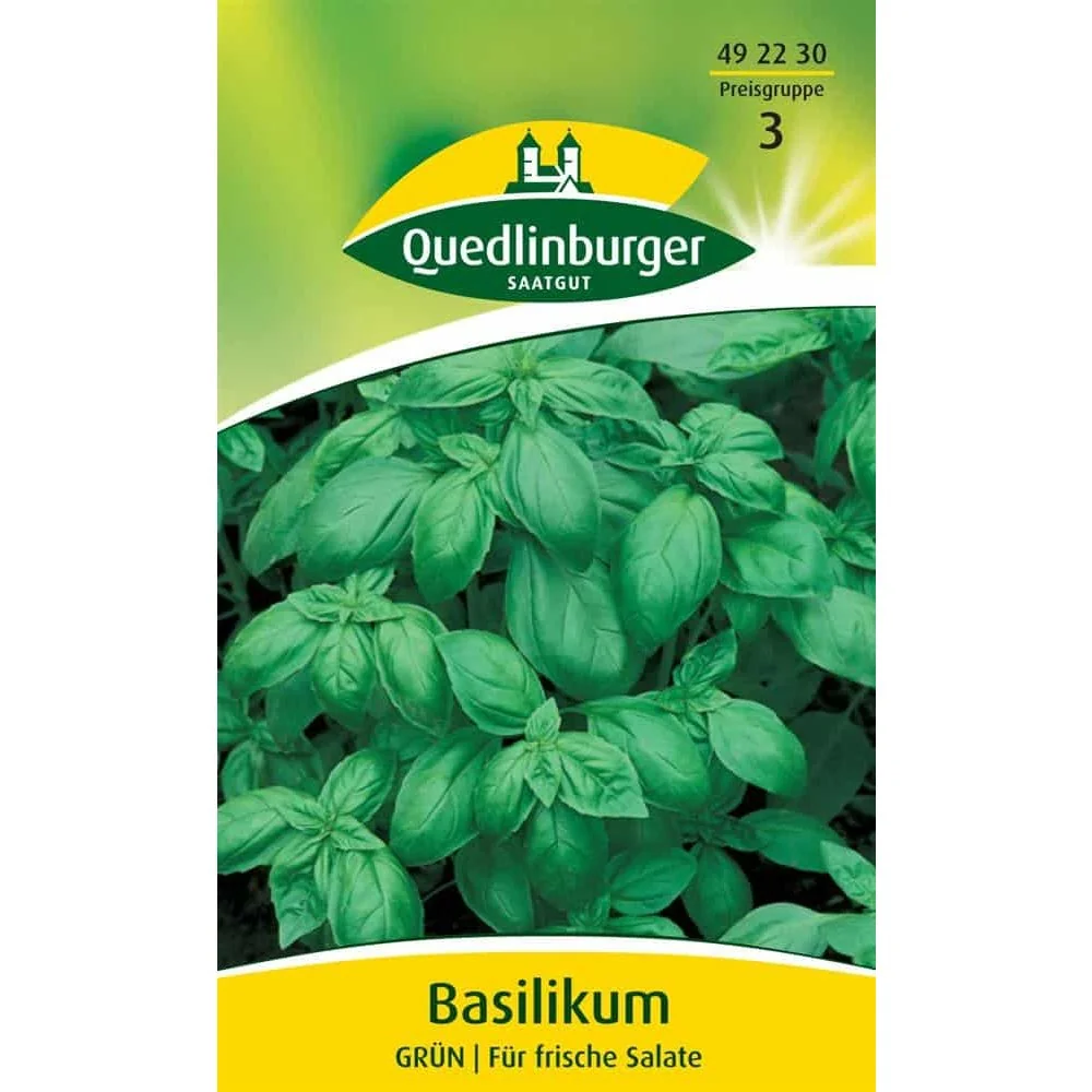 Basilikum Samen, Basilikum anbauen, Basilikum im Topf