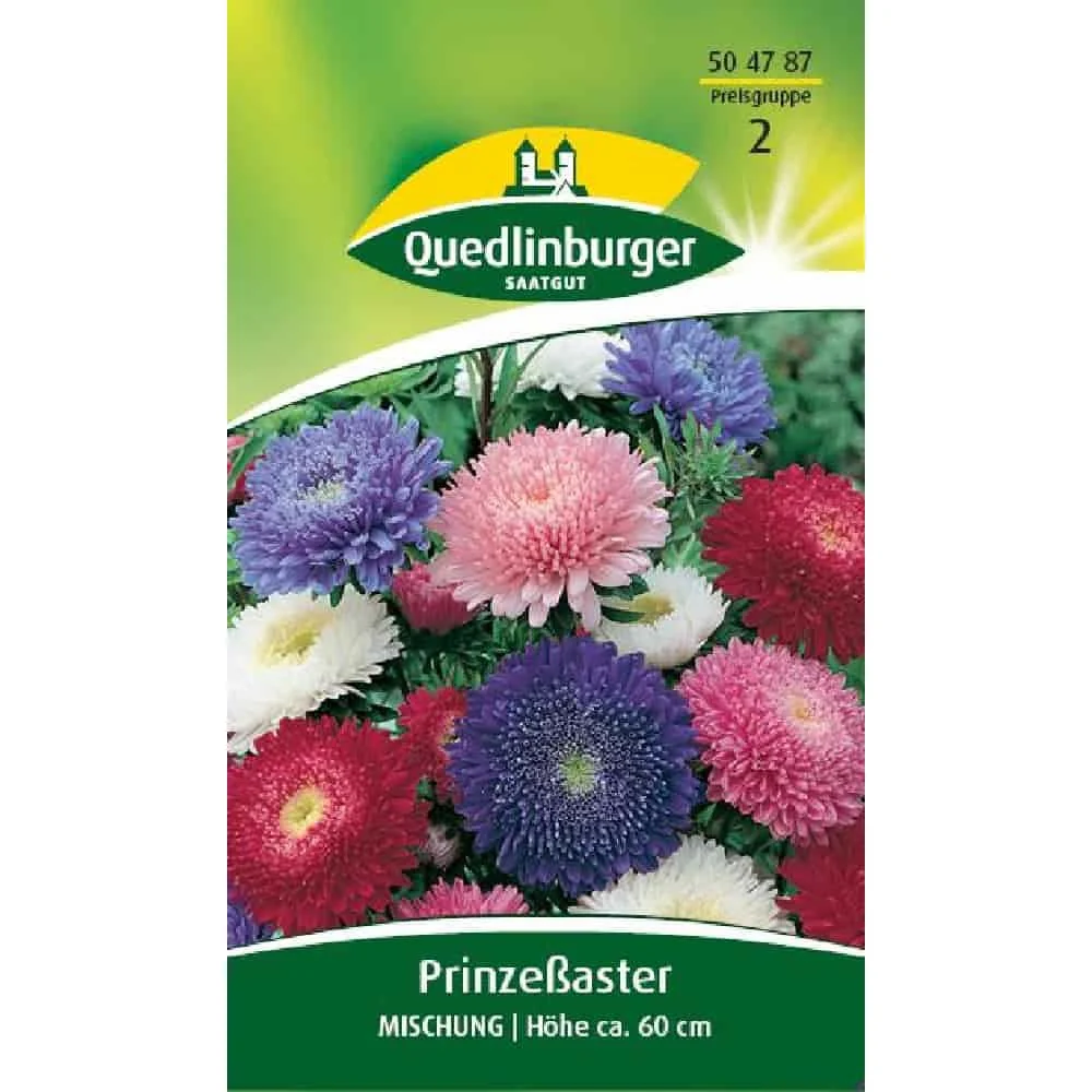 "Aster Samen, Mischung, Bunte Astern, Sommerblumen image"