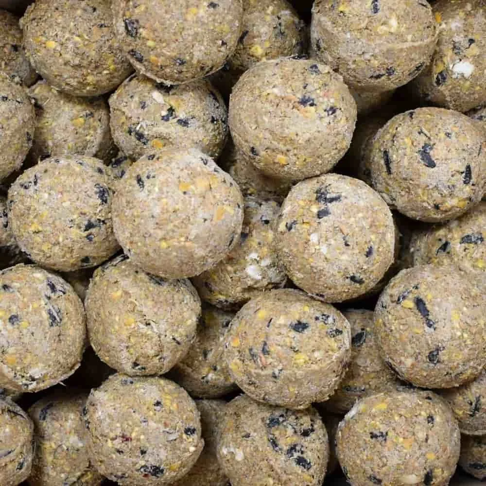 Meisenknödel Premium mit Insekten