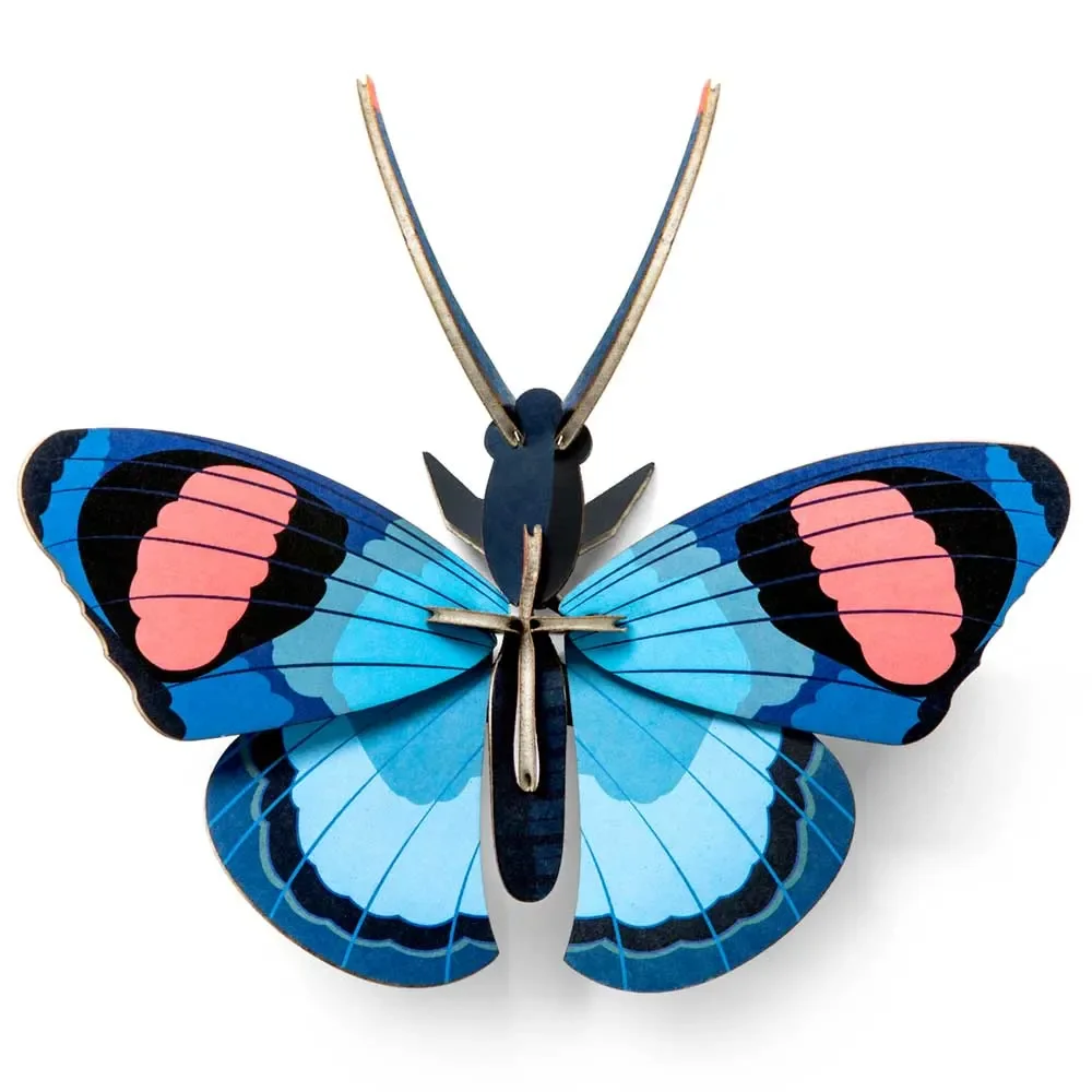 studio ROOF 3D Schmetterling blau Pappe