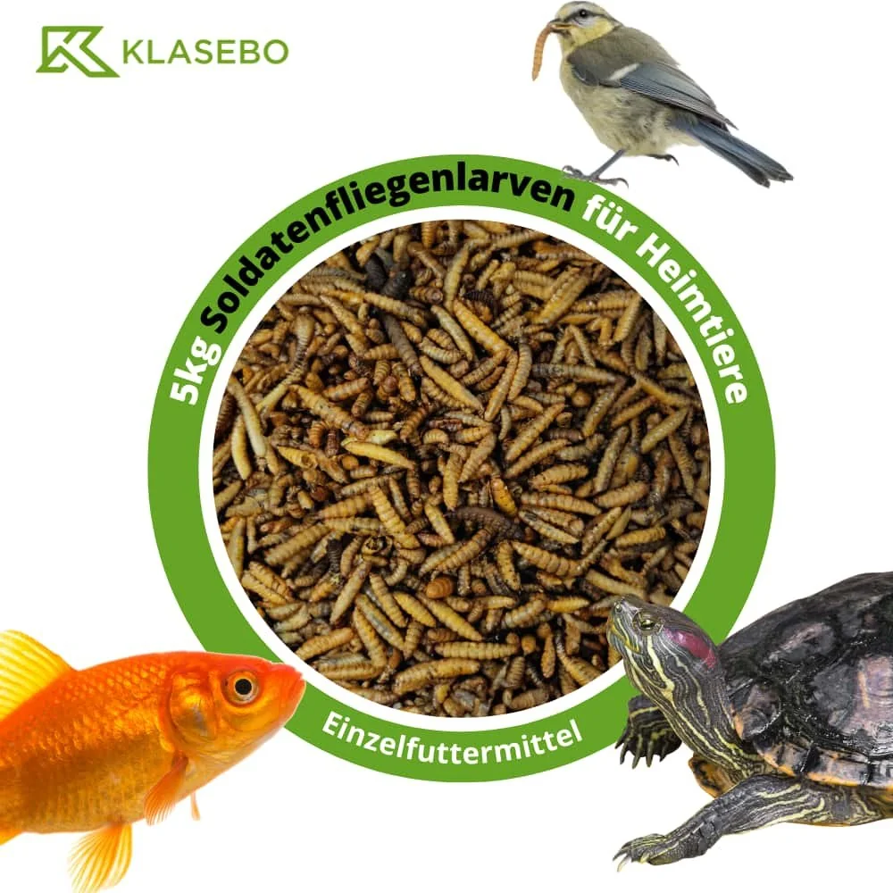 28,5 Liter Soldatenfliegenlarven (5kg)