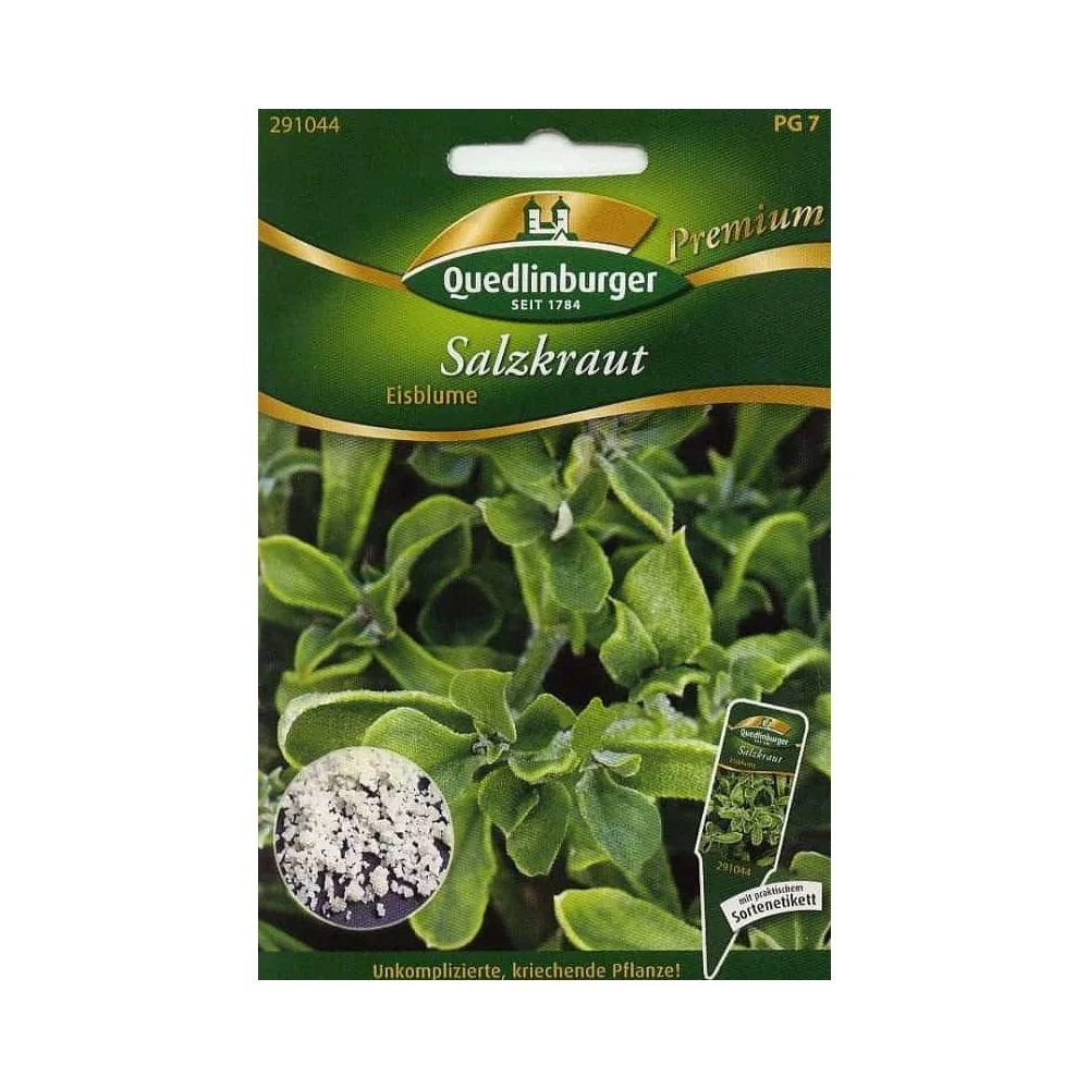 "Salzkraut kaufen, Eisblume, Salzkraut Samen, essbar image"