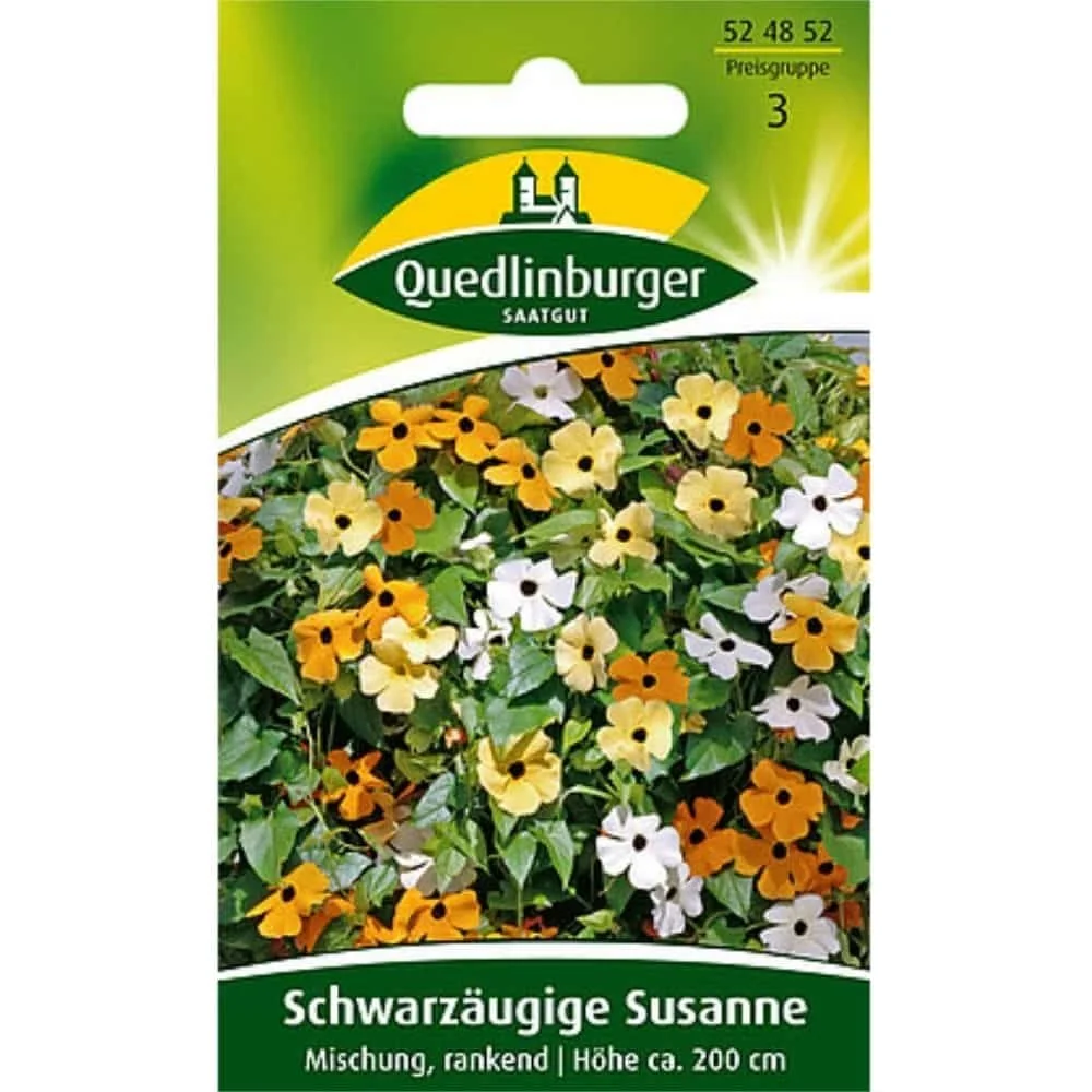 Schwarzäugige Susanne Samen, Kletterpflanze, rankende Mischung für sonnigen Stan