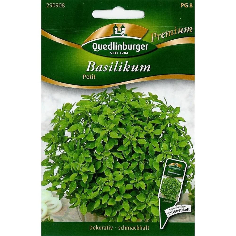 "Basilikum, Petit Basilikum, aromatisches Würzkraut, sonniger Standort image"