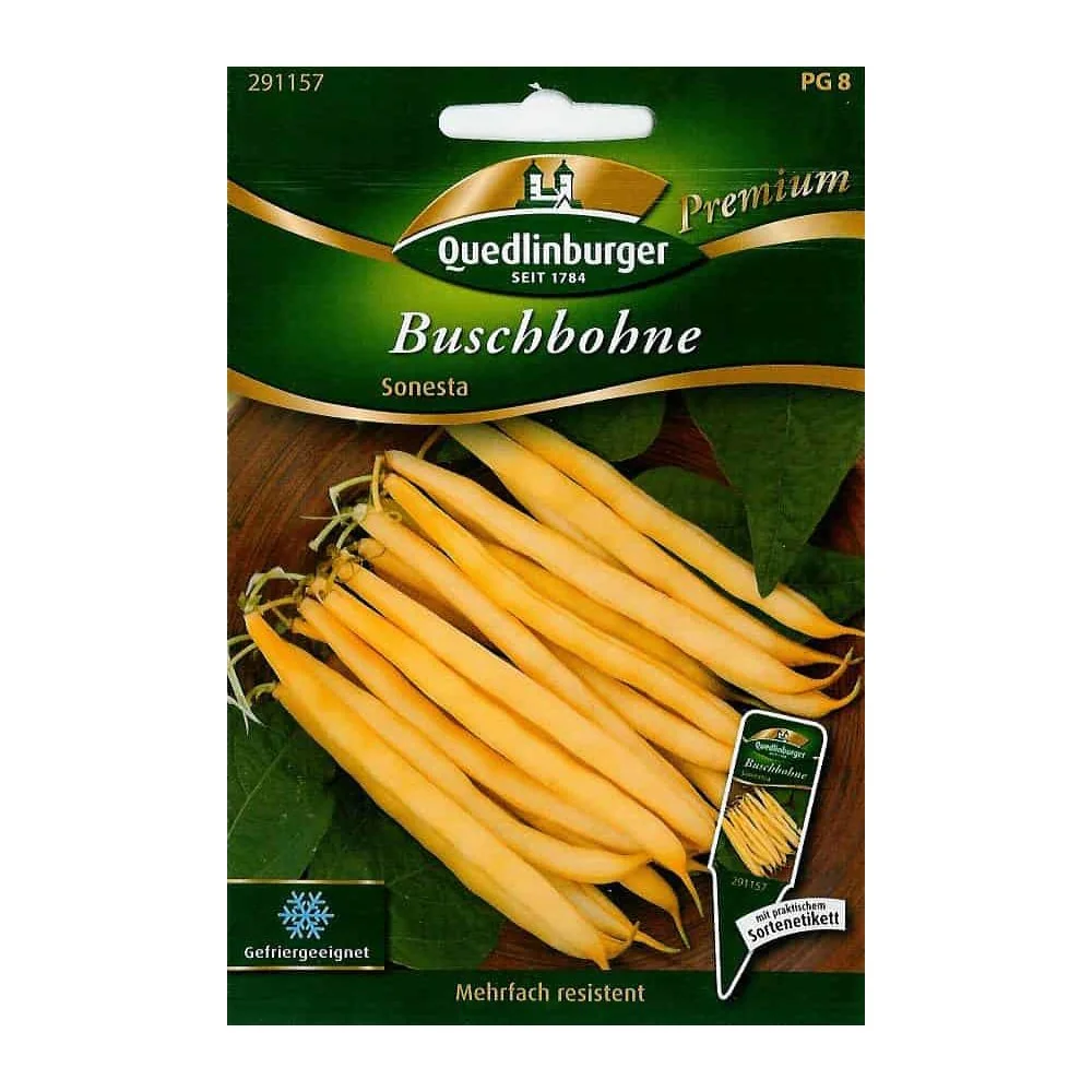 Buschbohnen Sonesta