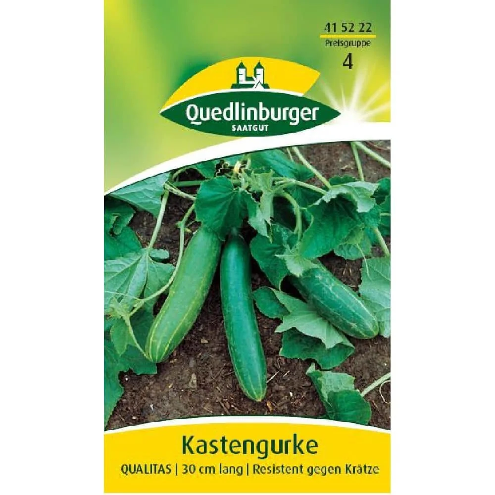 Kastengurke, Qualitas Gurke, Quedlinburger Züchtung