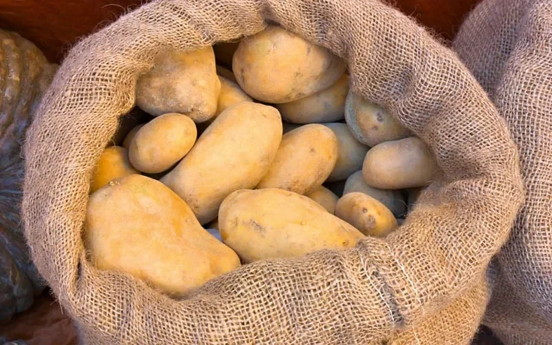 "Jutesäcke 60x100, Gartensack & Lagersack aus Jute image"