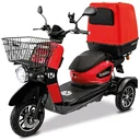 E-Carrier 25 V.3 - mit XXL-Heckkoffer