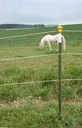 Metallpfahl T-Post, 152 cm, 60 Stück
