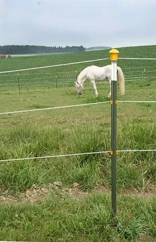 Metallpfahl T-Post, 152 cm, 60 Stück