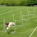 Agility Hürdenset als 4er Set weiß