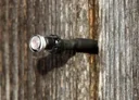 Lichtsensor für automatische Hühnertür