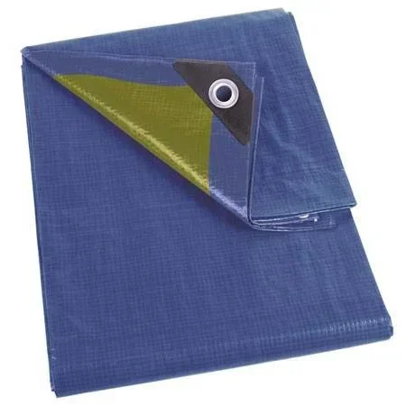 "Plane - Blau - 2x4m image"