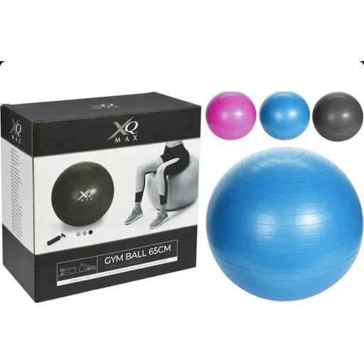 "Yoga-Ball/Fitness-Ball - inklusive Pumpe - 65 cm- Schwarz image"
