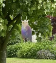 Vogelschreck "Eule"