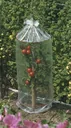 Tomatenhauben 3x