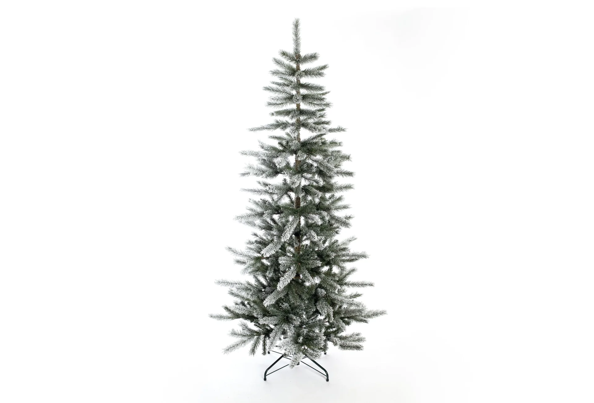 "Evergreen Cedar Kiefer Frost 210 cm image"