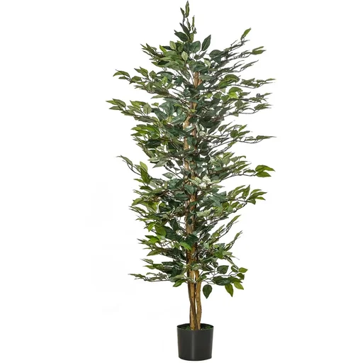 "Lorbeerkirsche, Prunus lauroc. "Caucasica", für 5 m Hecke, 60-80 cm hoch, 7 Liter Topf, 10 Stück im Set image"