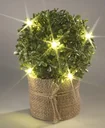 Buchsbaum rund mit goldenem Glitzer und LED Beleuchtung