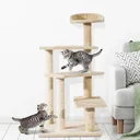 Katzen spielen Baum mit Säulen, beige