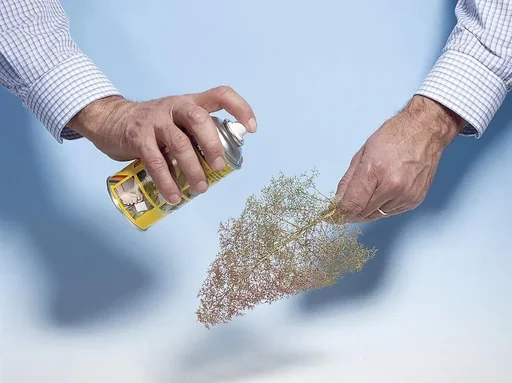 "Natur-Bäume image"