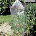 Tomatenhauben im 3er Set