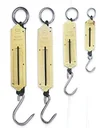 Taschen Federwaage, 100 kg