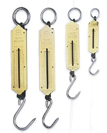 "Taschen Federwaage, 100 kg image"