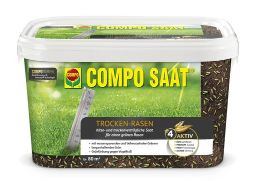 "Trocken-Rasen "SAAT" - 2 kg image"