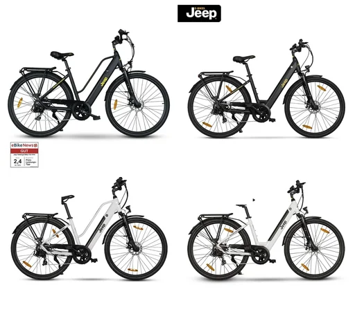 "Unisex Trekking E-Bike, 28 Zoll, Rahmengröße 46 cm, 7-Gang Kettenschaltung, black, TLR 7020 image"