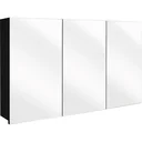 Concept Spiegelschrank 120cm schwartz fsc